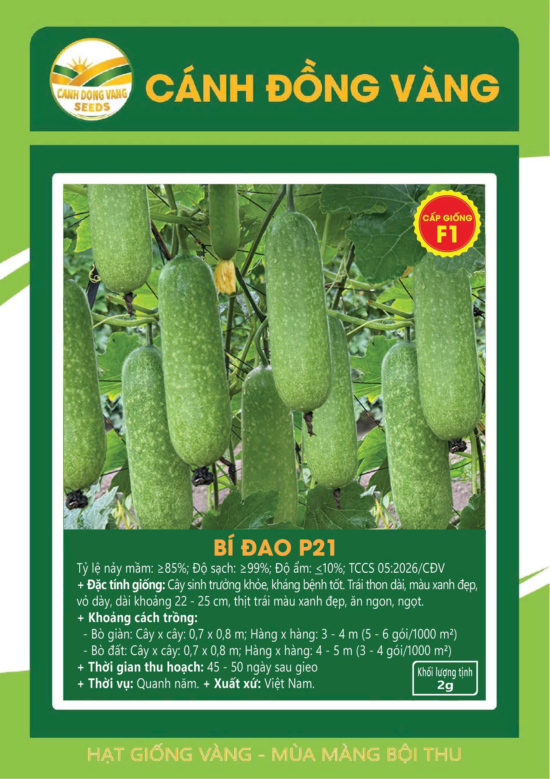 BÍ ĐAO P21